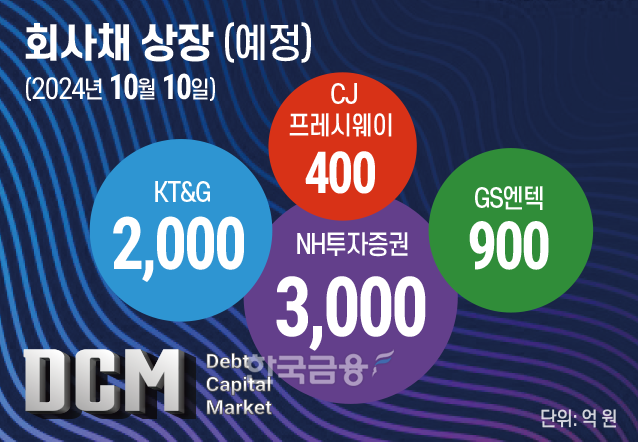 그래픽=이창선 기자(한국금융신문)