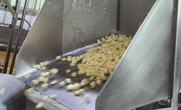 사진은 지난 26일 찾은 충북 진천군 교촌 소스 생산시설, 비에이치앤바이오. /사진=손원태기자