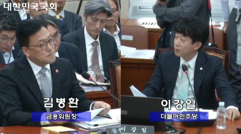 이강일 더불어민주당 의원이 10일 열린 금융위원회 국정감사에서 질의를 하고 있다./사진=국회의사중계시스템