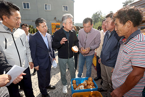 강호동 농협중앙회장, 경남 진주 배 일소 피해농가 현장 점검