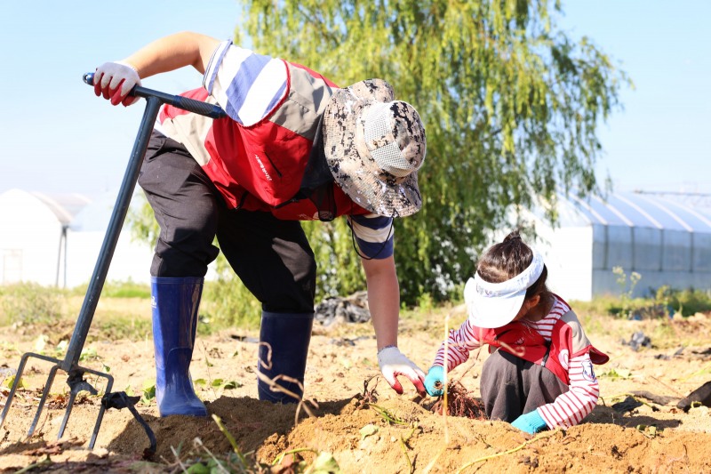 롯데건설의 '그린팜' 사회공헌활동 모습 / 사진제공=롯데건설