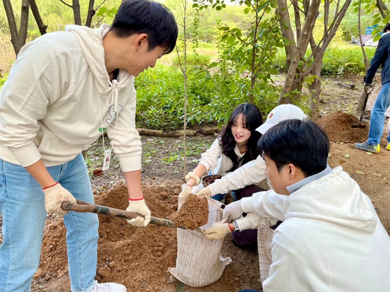 현대캐피탈 임직원들이 지난 23일 서울 마포에 위치한 노을공원 일대에서 사회공헌활동(CSR)인 '그린스텝스(Green Steps)' 활동으로 나무 심기를 진행하고 있다. / 사진=현대캐피탈