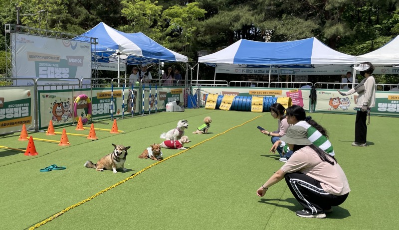 송파구 댕댕파크 프로그램에 참여한 구민들이 프로그램을 체험하는 모습./사진제공=송파구