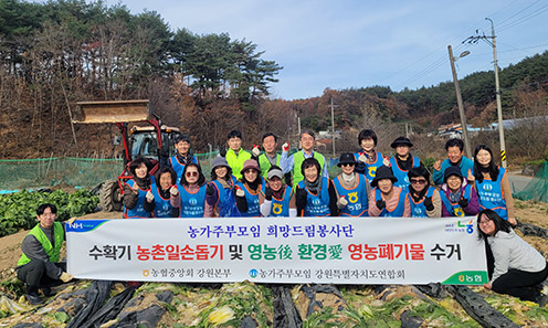 강원농협, 농가주부모임 수확기 농촌봉사활동 실시