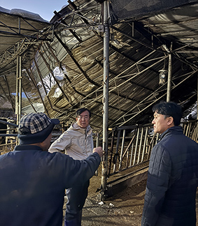 농협 축산경제, 폭설 피해 축산 농가 긴급 지원 실시
