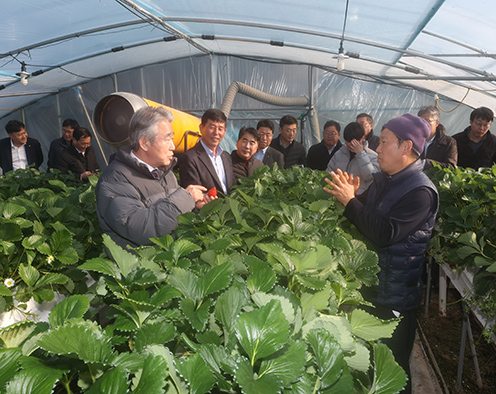 강호동 농협중앙회장, 충남 논산서 딸기 생육동향 점검