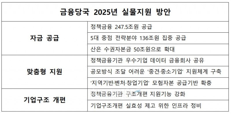 금융당국 2025년 실물지원 방안./ 자료 = 금융위원회