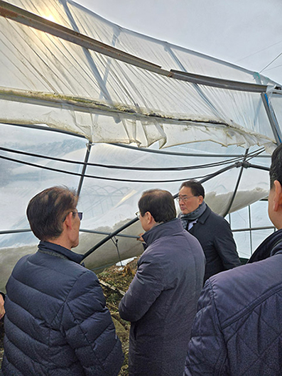 지준섭 농협중앙회 부회장, 대설 피해현장 방문