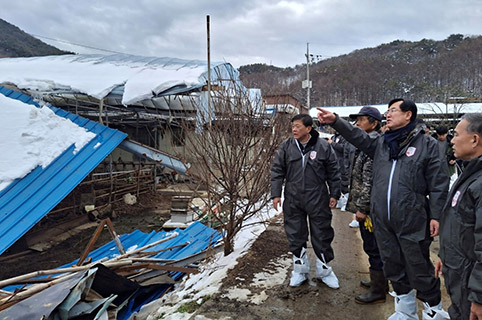 안병우 농협 축산경제대표이사, 폭설 피해 축산농가 방문점검