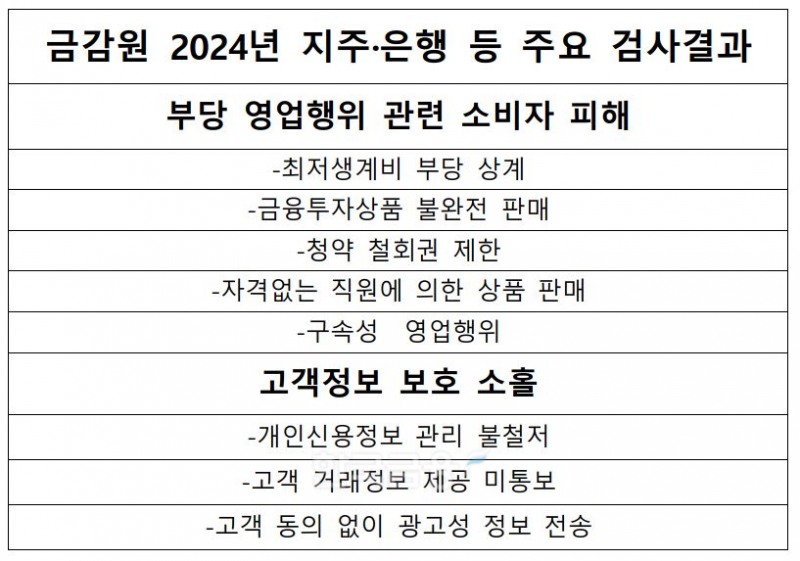 금감원 2024년 지주·은행 등 주요 검사결과./ 자료 = 금융감독원