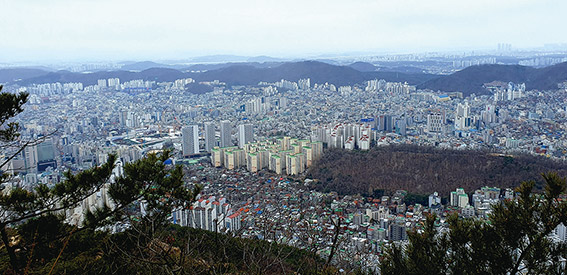 ▲ 서울 아파트 전경