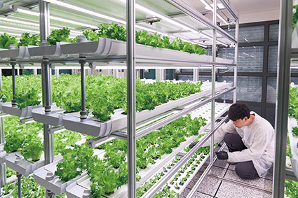 ▲ 현대건설, H 클린팜 내부 모습. 사진제공 = 현대건설