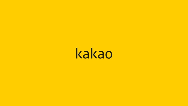 카카오, 리스크 관리 전문가 함춘승 이사 이사회 의장 선임