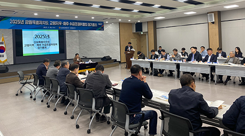 강원특별자치도·강원농협, 2025년 무·배추 수급안정 대책 추진