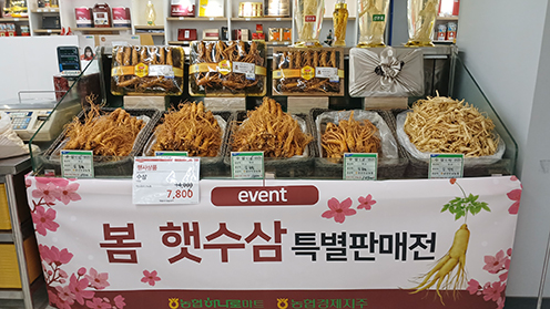 농협경제지주, ‘봄 햇수삼’ 최대 30% 할인