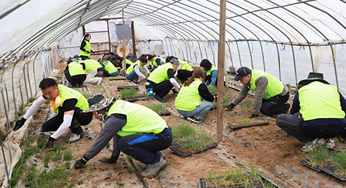 농협상호금융, 영농철 맞아 농촌 일손 돕기 나서
