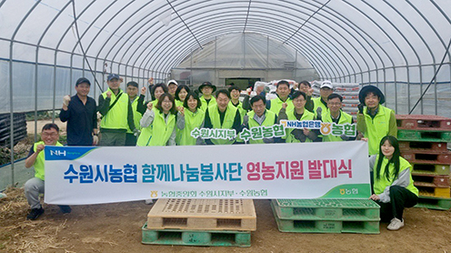 NH농협 수원시지부·수원농협 함께나눔 농촌일손돕기 실시