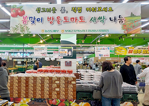 농협하나로마트, 가정의 달 맞아 ‘대추방울토마토 모종 증정 행사’ 진행