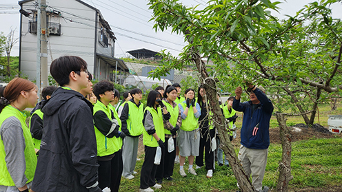 강원농협,강원대학교 4‐H봉사동아리 영농철 맞이 농촌일손돕기