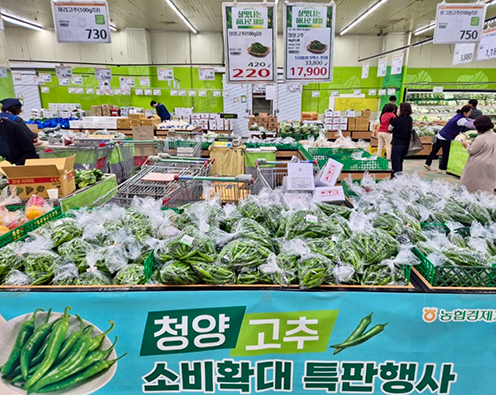 농협하나로마트, 청양고추 최대 45% 할인