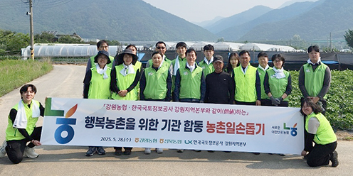 농협중앙회 강원본부·한국국토정보공사 강원지역본부, 기관합동 농촌일손돕기 실시