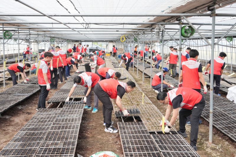 BNK부산은행이 긴급 봉사대 파견으로 폭우 피해 농가의 복구를 돕고 있다. / 사진제공 = BNK부산은행