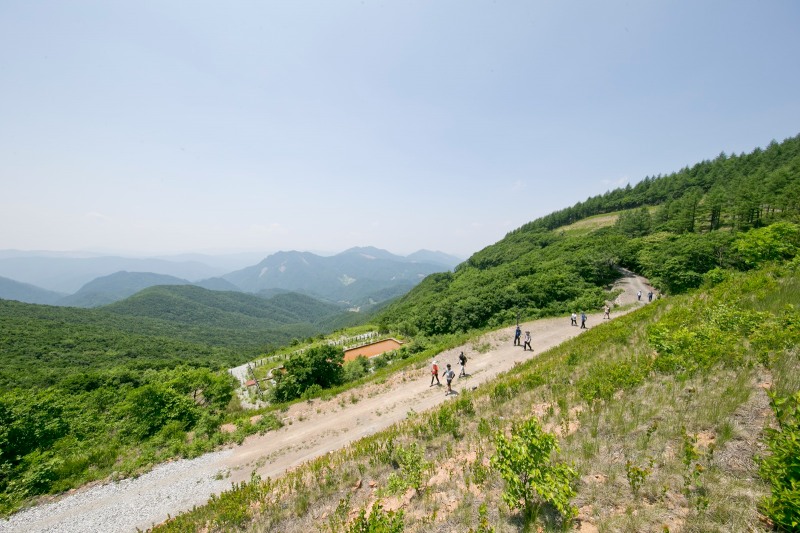 강원랜드, 하늘길 트레킹 전경./사진제공=강원랜드