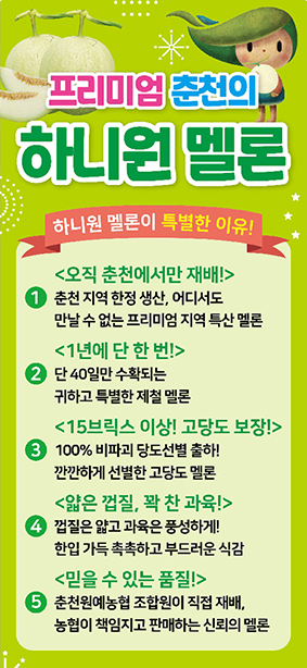 춘천원예농협 하나로마트에서 ‘하니원멜론 직판 행사’ 개최
