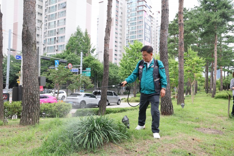 박강수 마포구청장이 ‘러브버그’ 방역 현장을 점검하며 직접 방역에 나서고 있다.