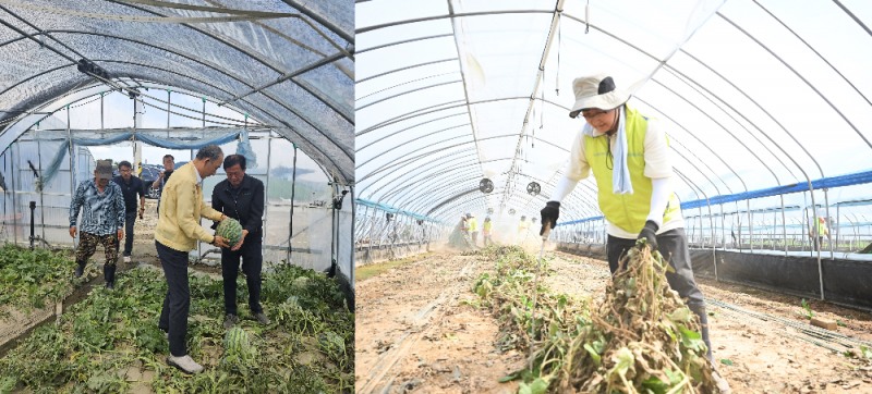 박병희 농협생생명 대표(사진 왼쪽), 송춘수 농협손보 대표가 집중호우로 피해 입은 농가를 찾아 수해 복구를 지원하고 있다./사진=농협생명, 농협손보