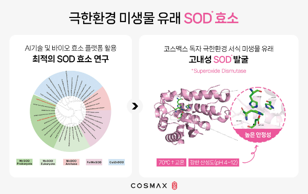 화장품 ODM(연구·개발·생산) 기업 코스맥스가 AI 기술을 활용한 항산화 효소 연구 성과를 국제 학술지에 게재하며 학계의 주목을 받았다. 코스맥스는 이번 성과를 기반으로 고기능성 화장품 시장 공략을 강화할 방침이다. /사진=코스맥스