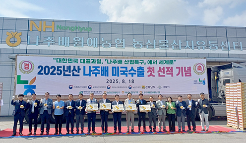 농협, 2025년산 원황배 본격 대미 수출 나서