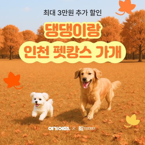 종합 여행·여가 플랫폼 여기어때(대표 정명훈)는 이달 21일 기준 반려동물과 함께 입실 가능한 국내 숙소가 1년 전보다 25.8% 늘었다고 24일 밝혔다. /사진=여기어때