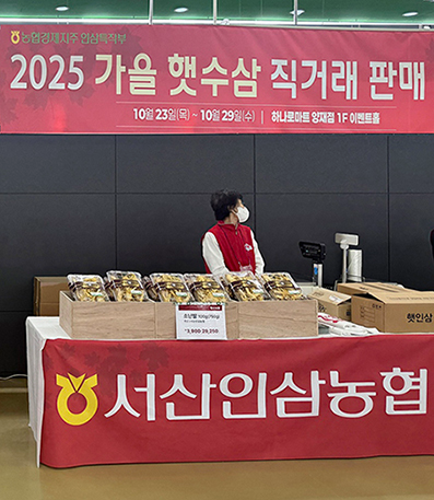 농협경제지주, 인삼의 날 맞이 햇수삼 특판 행사 실시