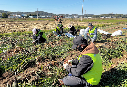 농협경제지주 축산유통부, 수확기 일손돕기 농가지원 힘 보태