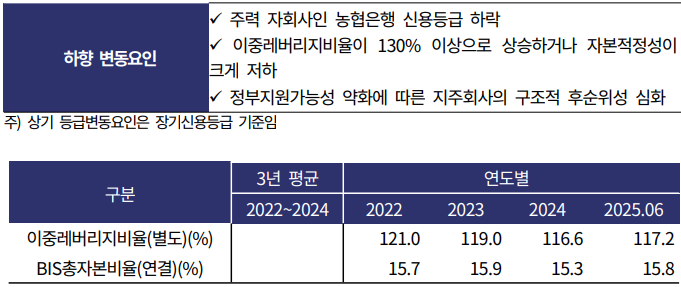 농협금융지주 신용등급 변동요인./출처:한국기업평가
