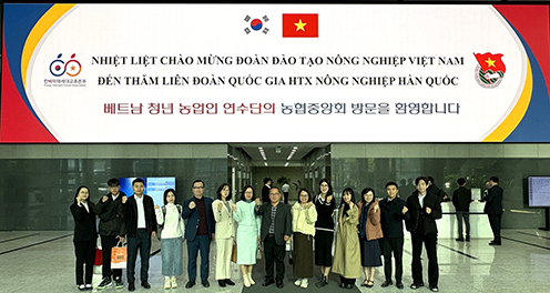 농협중앙회, 베트남 청년 농업인 선진농업 연수 2기 진행
