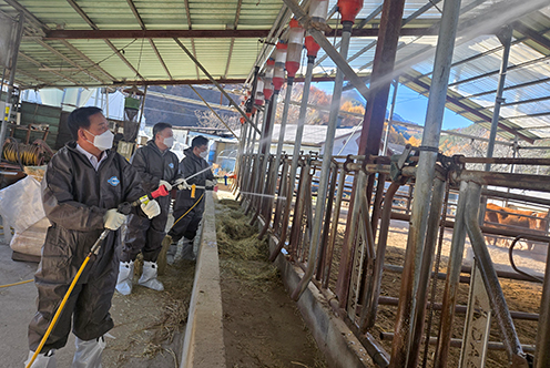 농협 강원본부, 동절기 가축질병 차단 방역 총력