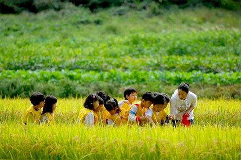농협, 지자체와 손잡고 농촌여행 신사업 본격 추진
