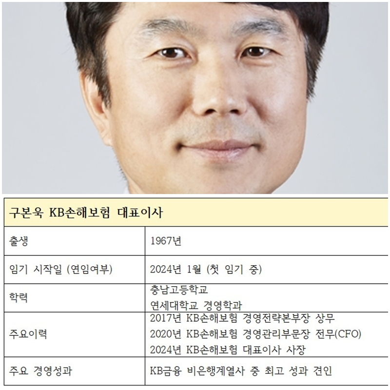 구본욱 KB손해보험 대표이사 주요 이
