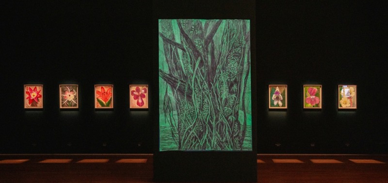 개가시나무는 살아있다 2.214x150cm,charcoal on Koreanpaper.2025