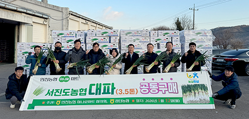 인천농협, “ 대파 공동구매 ”소비지 물가안정 기여