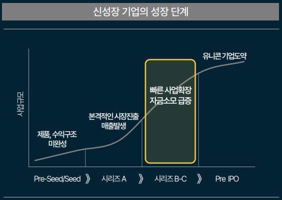 신성장 기업 성장 단계./출처=자본시장연구원