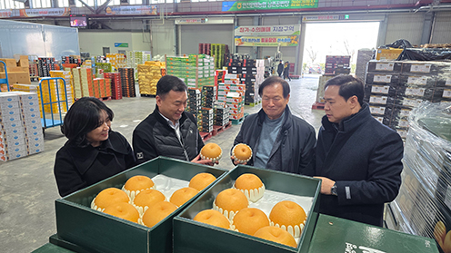 ▲ 사진 왼쪽 두 번째부터 한상구 인천농협 총괄본부장, 이기용 인천원예농협 조합장.