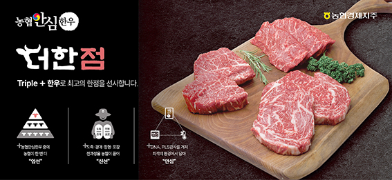 농협경제지주 축산물도매분사, 생산 구조로 한우 시장 재편