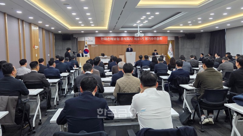 나채범 한화손해보험 대표가 18일 열린 주주총회에서 모두 발언을 하고 있다.