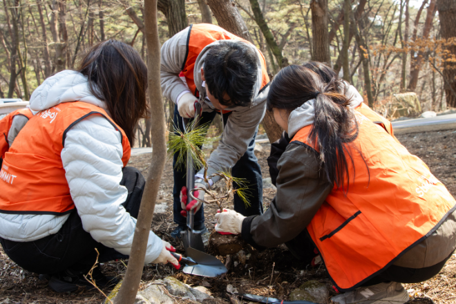 호반그룹 주니어보드 3기 구성원들이 지난 20일 충북 제천 포레스트 리솜 일대에서 나무심기 봉사활동을 진행하고 있다./사진제공=호반그룹