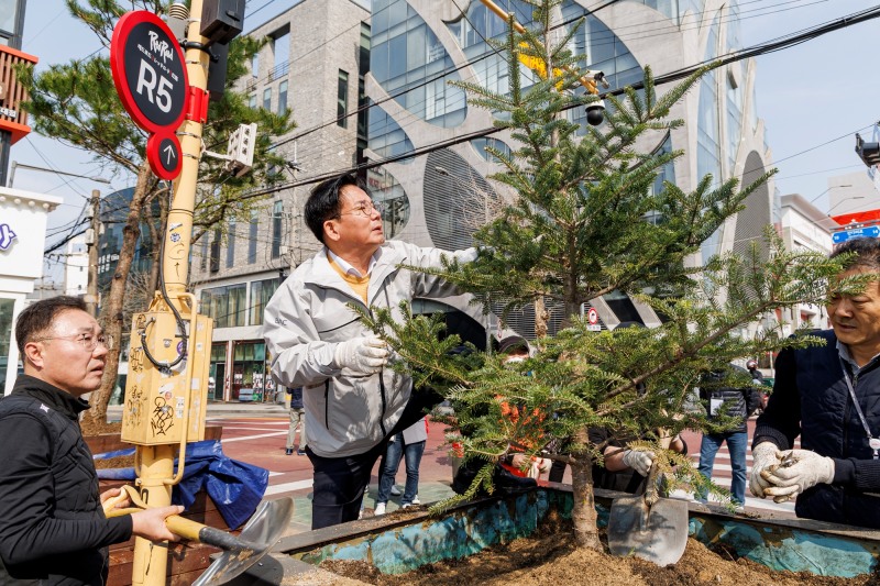 박강수 마포구청장이 식목행사에서 나무를 심고 있다./사진제공=마포구
