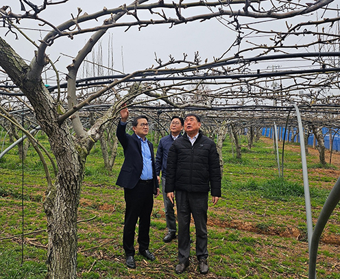 NH농협무역 이재호 신임 대표이사, 취임 첫 행보 나주배 수출 현장 방문