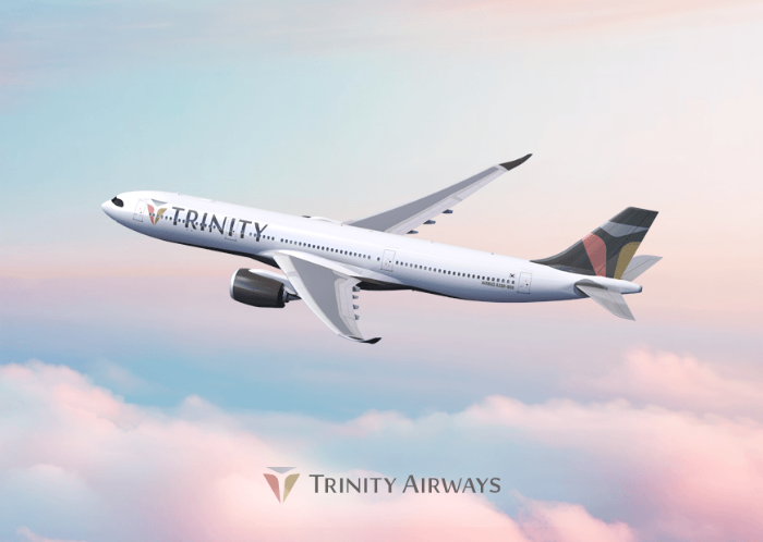 티웨이항공이 사명을 '트리니티항공(Trinity Airways)'으로 변경하기로 확정했다. /사진제공=티웨이항공